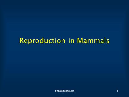 Reproduction in Mammals. Overview Characteristics of Mammals Types of Mammalian Reproduction –Monotremes –Marsupials.