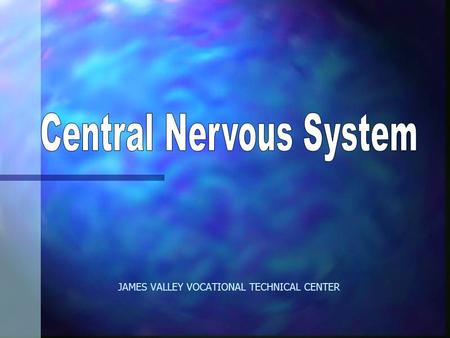 JAMES VALLEY VOCATIONAL TECHNICAL CENTER. Neuron: Nerve Cell n Basic structural unit nervous system n Consists of: –nucleus –nerve fibers /dentrites –axon.