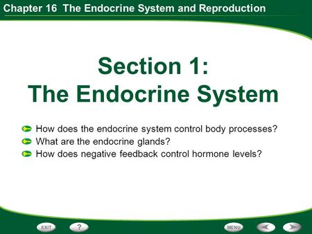Section 1: The Endocrine System