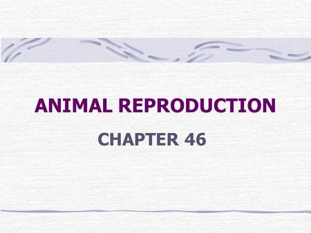 ANIMAL REPRODUCTION CHAPTER 46.