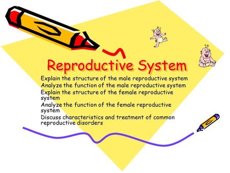 Reproductive System Explain the structure of the male reproductive system Analyze the function of the male reproductive system Explain the structure of.