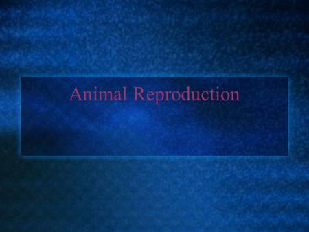 Animal Reproduction.