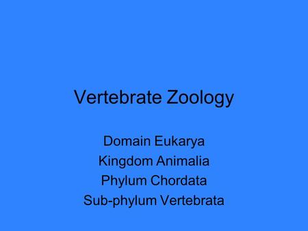 Vertebrate Zoology Domain Eukarya Kingdom Animalia Phylum Chordata Sub-phylum Vertebrata.