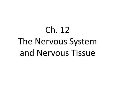 Ch. 12 The Nervous System and Nervous Tissue