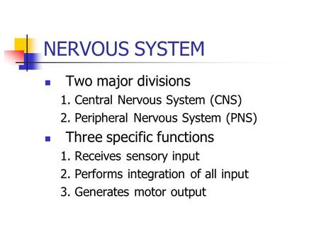 NERVOUS SYSTEM Two major divisions 1. Central Nervous System (CNS) 2. Peripheral Nervous System (PNS) Three specific functions 1. Receives sensory input.