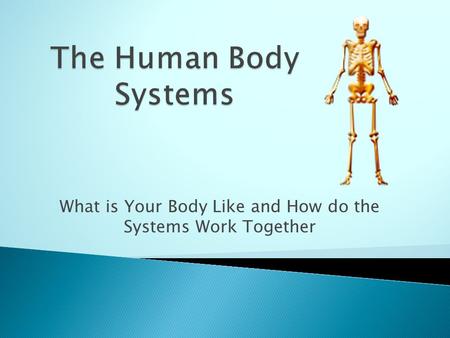 What is Your Body Like and How do the Systems Work Together