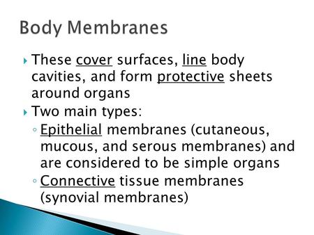  These cover surfaces, line body cavities, and form protective sheets around organs  Two main types: ◦ Epithelial membranes (cutaneous, mucous, and serous.