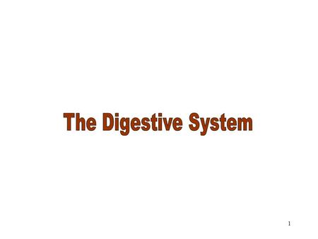 1 The Digestive System 2 Parts of the Alimentary Canal The Digestive System Consists of the alimentary canal and several accessory organs. Parts of the.