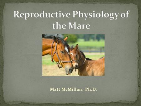 Matt McMillan, Ph.D.. Includes: Vulva Vagina Cervix Uterus Oviducts Ovaries.