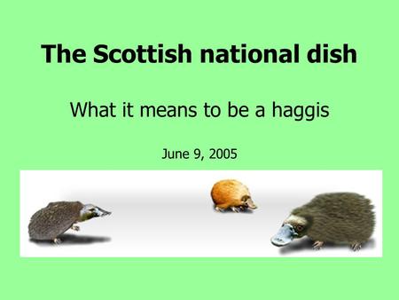 The Scottish national dish What it means to be a haggis June 9, 2005.