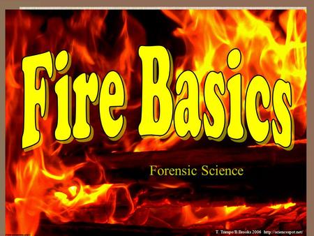 Fire Basics Forensic Science