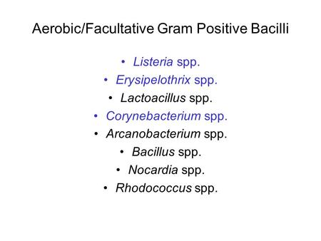 Aerobic/Facultative Gram Positive Bacilli