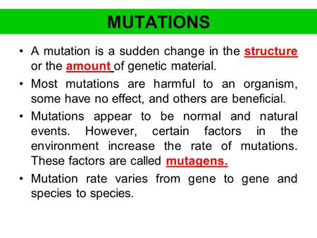 MUTATIONS A mutation is a sudden change in the structure or the amount of genetic material. Most mutations are harmful to an organism, some have no effect,