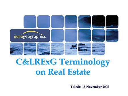 C&LRExG Terminology on Real Estate Toledo, 15 November 2005.