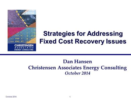 Strategies for Addressing Fixed Cost Recovery Issues Dan Hansen Christensen Associates Energy Consulting October 2014 1.