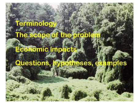 Terminology The scope of the problem Economic impacts Questions, hypotheses, examples.