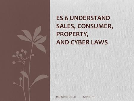 BB30 Business Law 6.01Summer 2013 ES 6 UNDERSTAND SALES, CONSUMER, PROPERTY, AND CYBER LAWS.