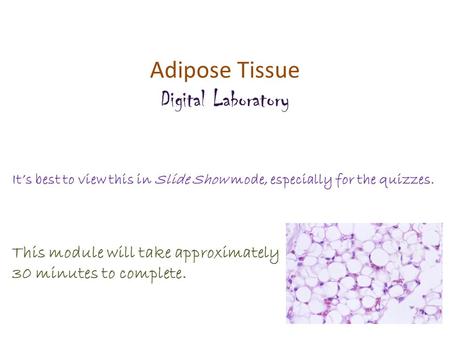 Adipose Tissue Digital Laboratory
