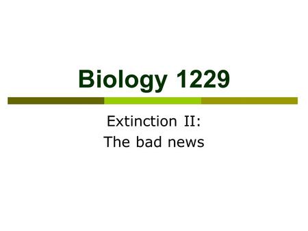 Biology 1229 Extinction II: The bad news. The four horsemen of the extinction crisis I: Habitat destruction  Spoon-billed sandpiper  Jamaican blackbird.