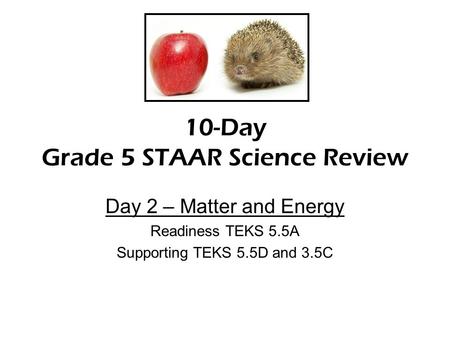 10-Day Grade 5 STAAR Science Review