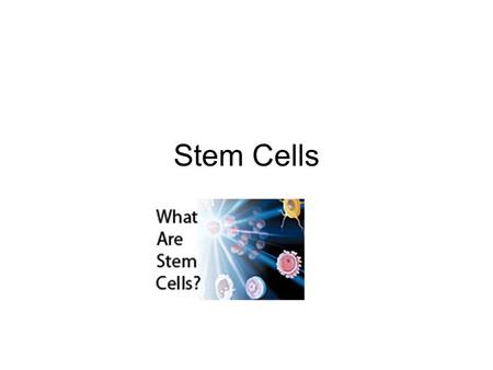 Stem Cells.