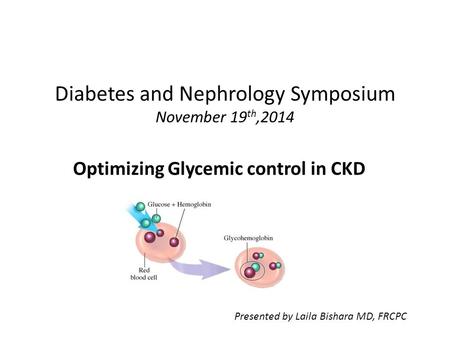 Diabetes and Nephrology Symposium November 19 th,2014 Optimizing Glycemic control in CKD Presented by Laila Bishara MD, FRCPC.