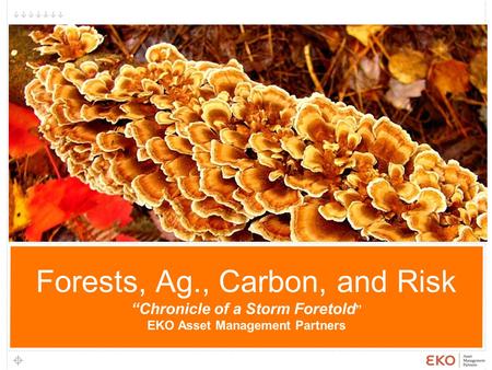 1 Forests, Ag., Carbon, and Risk “Chronicle of a Storm Foretold ” EKO Asset Management Partners 1.