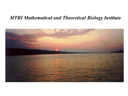 MTBI Mathematical and Theoretical Biology Institute.