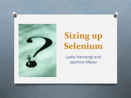 Sizing up Selenium Lydia Harvengt and Jasmine Meyer.