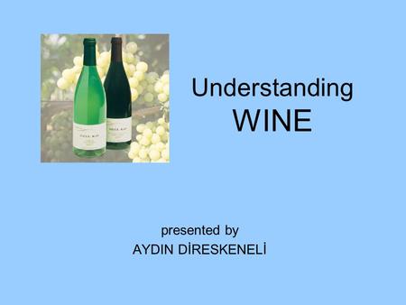 Understanding WINE presented by AYDIN DİRESKENELİ.