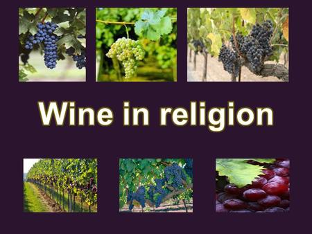Wine has played a very significant role in society and human history dating back as far as the most early documented civilizations in human history. In.