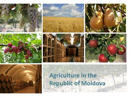 Agriculture in the Republic of Moldova. Overview Impact on economic growth – 38% Agricultural lands – 2498,0 thousands ha (73,8%) including: including: