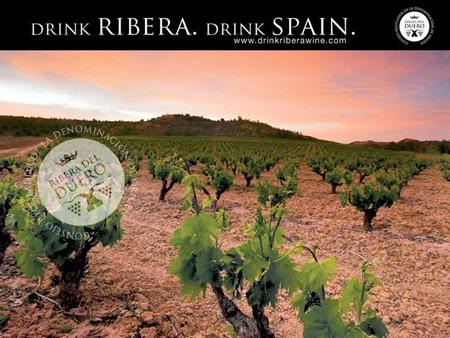  Essence of Spain – Ribera’s terroir, culture, history, long tradition of wine making results in the ultimate expression of Spain's noble grape: Tempranillo.