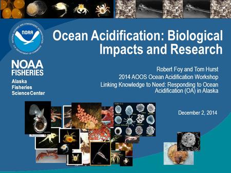 Ocean Acidification: Biological Impacts and Research