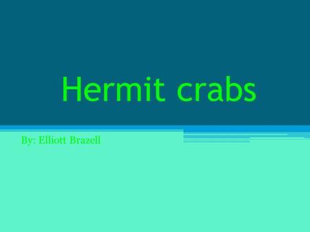 Hermit crabs By: Elliott Brazell. Classification Kingdom : Animalia Phylum: Arthropoda Subphylum: Crustacea Class: Malacostraca Order: Decapoda Suborder: