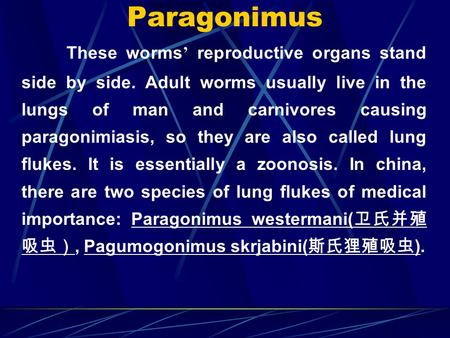 Paragonimus These worms ’ reproductive organs stand side by side. Adult worms usually live in the lungs of man and carnivores causing paragonimiasis, so.