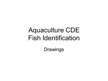 Aquaculture CDE Fish Identification Drawings. Large Mouth Bass Micropterus salmoides.