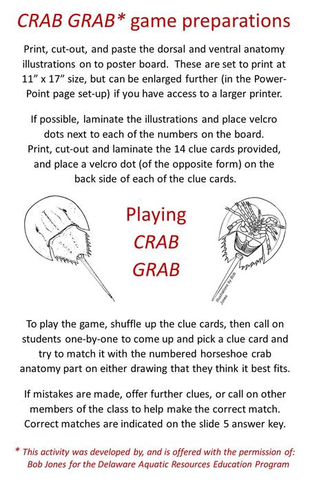 CRAB GRAB* game preparations Print, cut-out, and paste the dorsal and ventral anatomy illustrations on to poster board. These are set to print at 11” x.