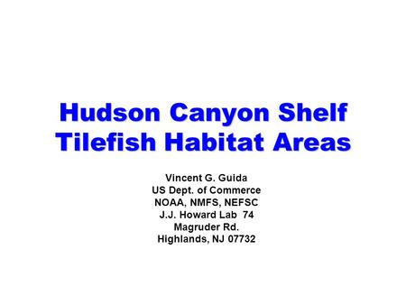 Hudson Canyon Shelf Tilefish Habitat Areas Vincent G. Guida US Dept. of Commerce NOAA, NMFS, NEFSC J.J. Howard Lab 74 Magruder Rd. Highlands, NJ 07732.
