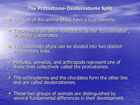 The Protostome-Deuterostome Split The rest of the animal phyla have a true coelome. The rest of the animal phyla have a true coelome. These phyla are often.