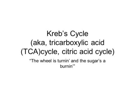 Kreb’s Cycle (aka, tricarboxylic acid (TCA)cycle, citric acid cycle) “The wheel is turnin’ and the sugar’s a burnin’”