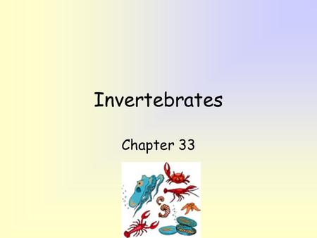 Invertebrates Chapter 33.