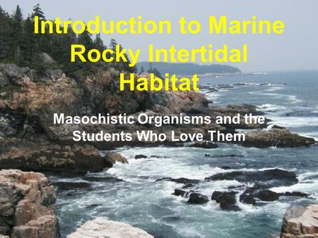 Introduction to Marine Rocky Intertidal Habitat Masochistic Organisms and the Students Who Love Them.