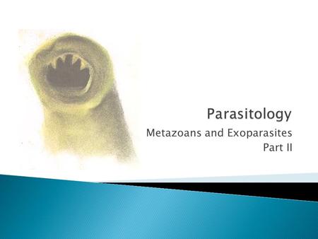 Metazoans and Exoparasites Part II
