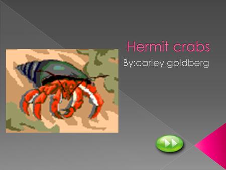  Adaptations/special parts or behaviors  fun facts  Where do hermit crabs usually live  What do hermit crabs eat.