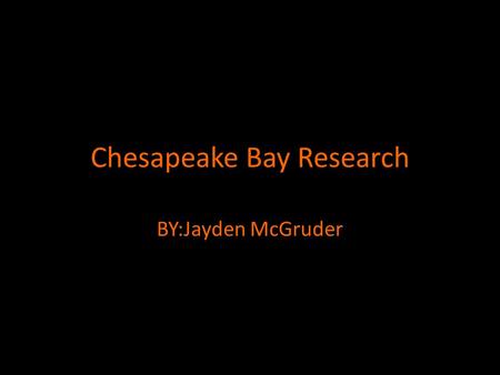 Chesapeake Bay Research BY:Jayden McGruder. Why is it important to have a variety of living things in the bay? It is important to have a variety of living.