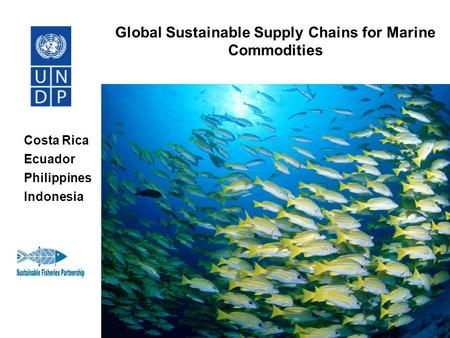 Global Sustainable Supply Chains for Marine Commodities Costa Rica Ecuador Philippines Indonesia.