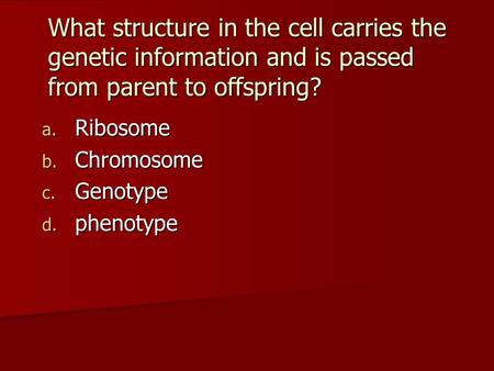 Ribosome Chromosome Genotype phenotype
