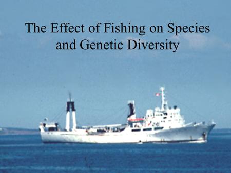 The Effect of Fishing on Species and Genetic Diversity.