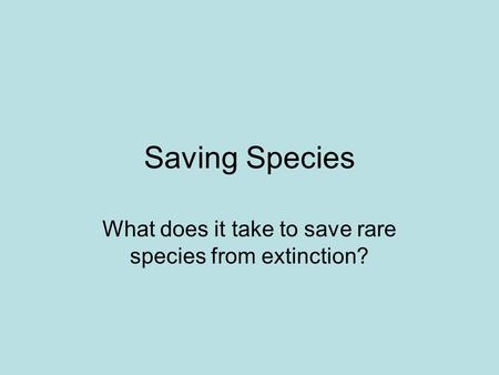 Saving Species What does it take to save rare species from extinction?